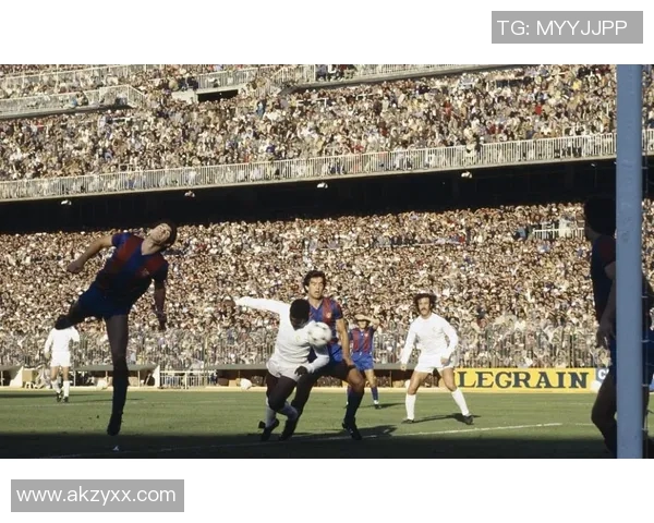 巴西与比利时精彩对决高清回顾全场比赛亮点与精彩瞬间解析